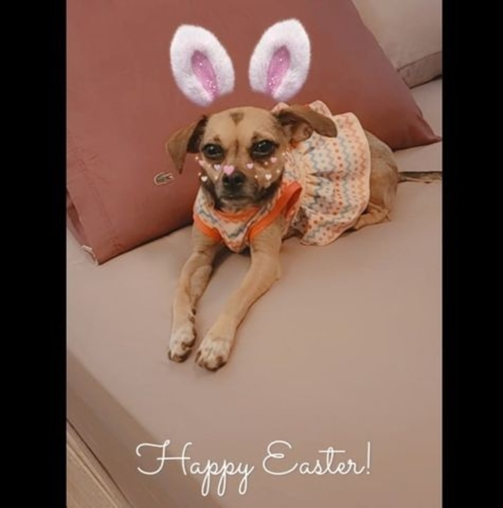 Meet your Posher, Sampsonzeusgrace